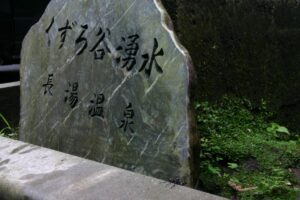 うまい湧水とカブトムシ