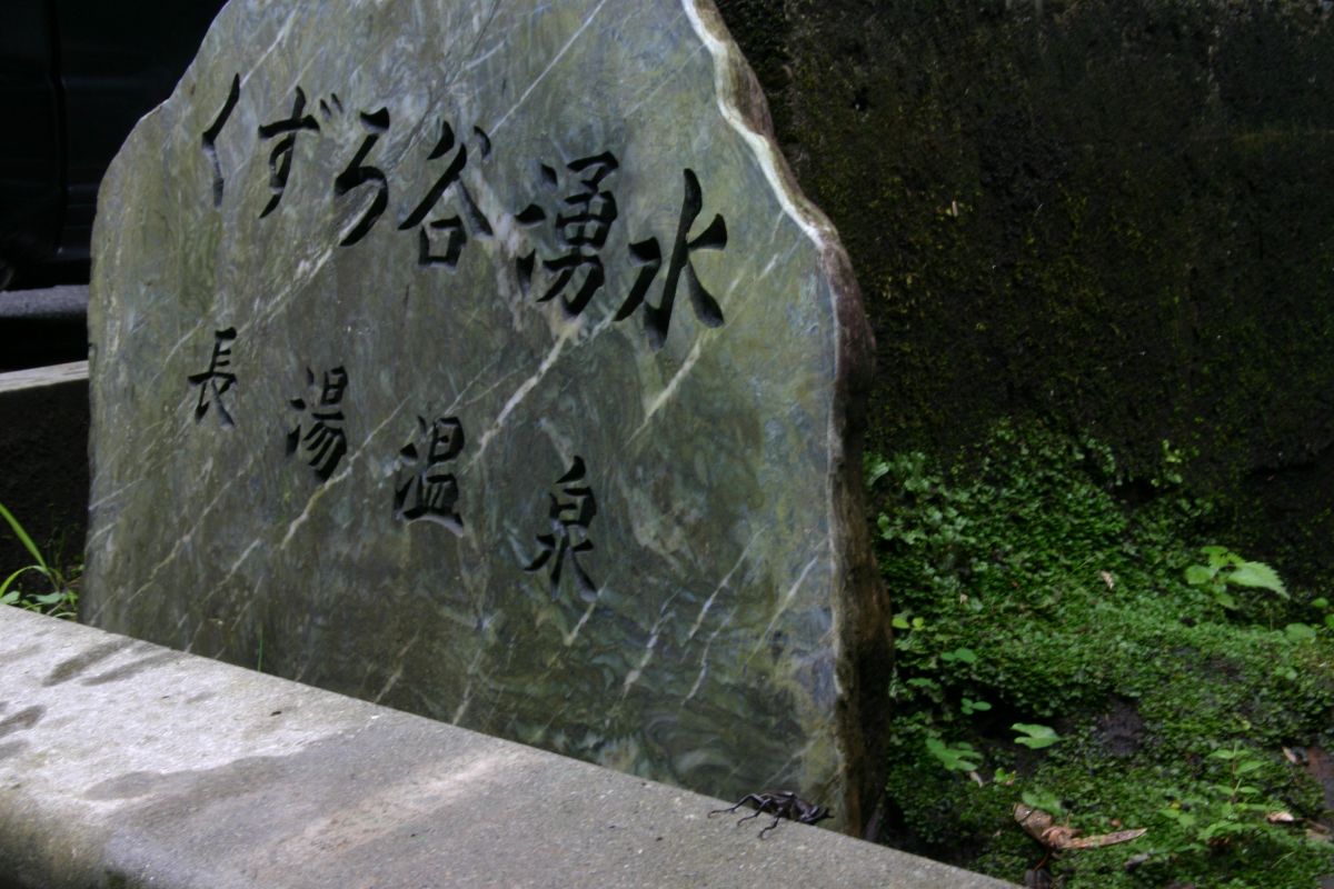 080830IMG_0044.jpg