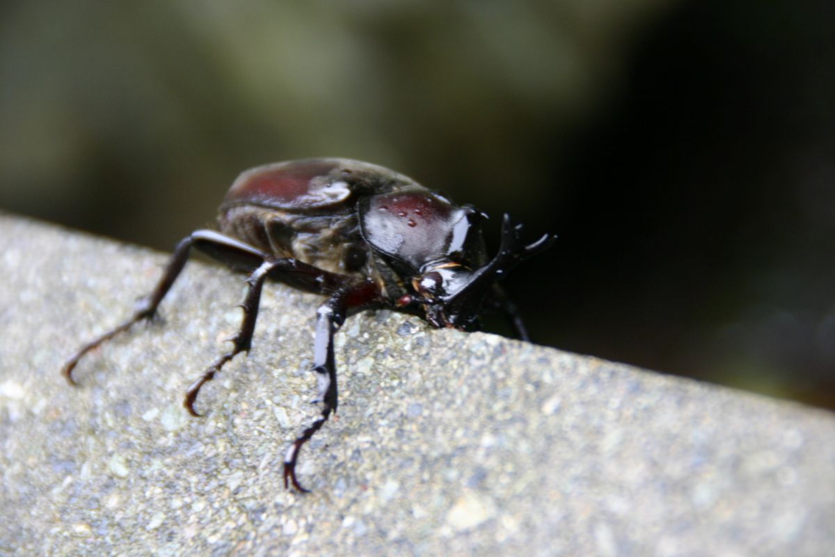 080830IMG_0047.jpg