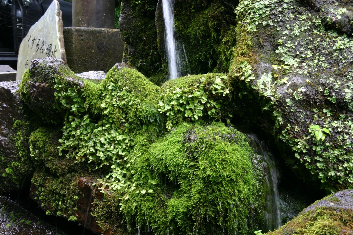 080830IMG_0050.jpg