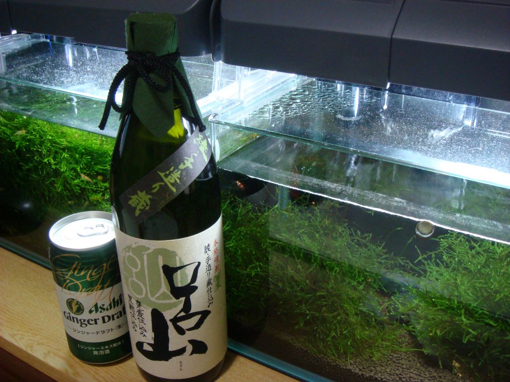 ちょいとお気に入り