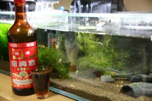 老酒ホット