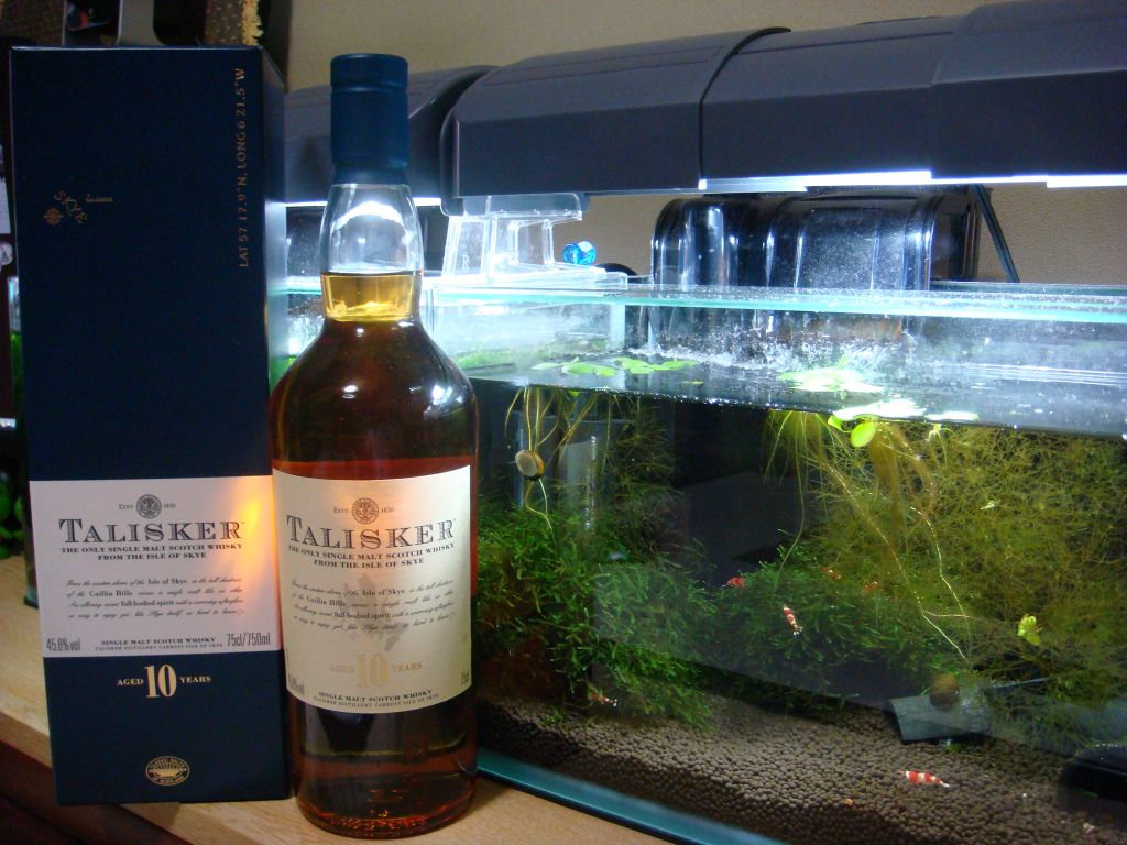 081218DSC01130.jpg