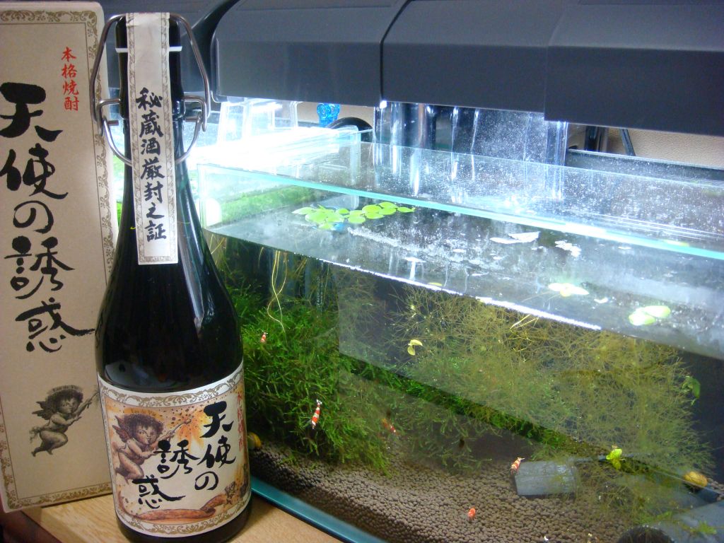 秘蔵酒『天使の誘惑』