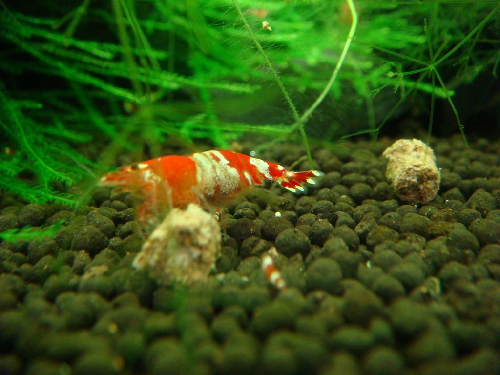 090212DSC01302.jpg