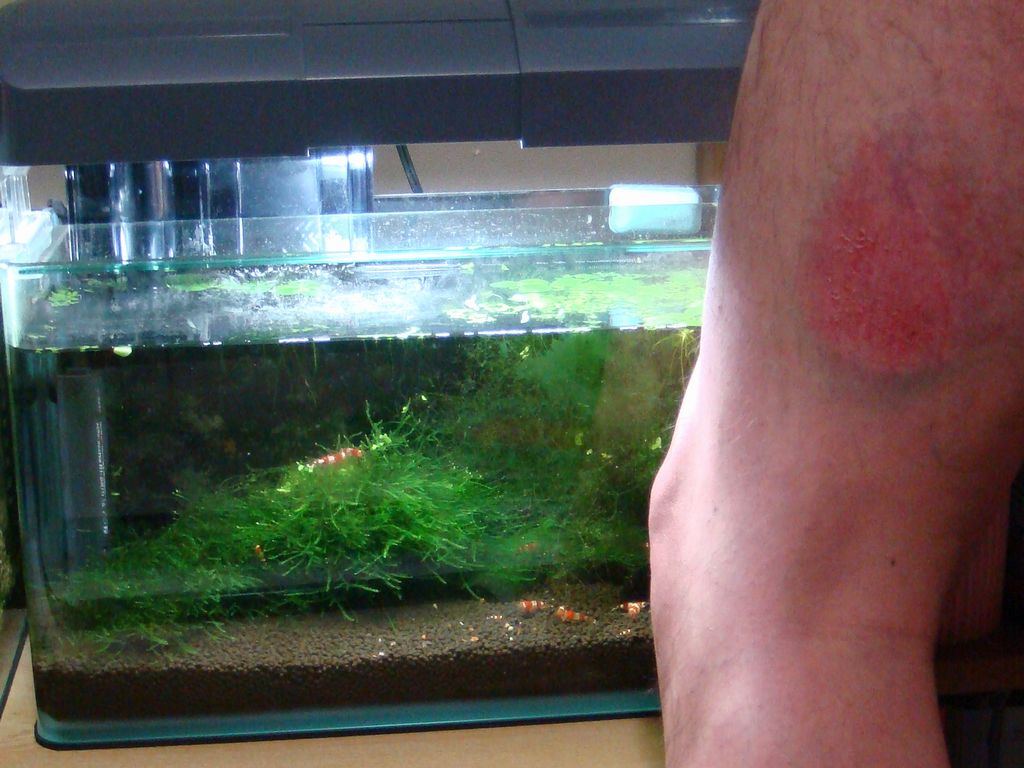 090411DSC01344.jpg