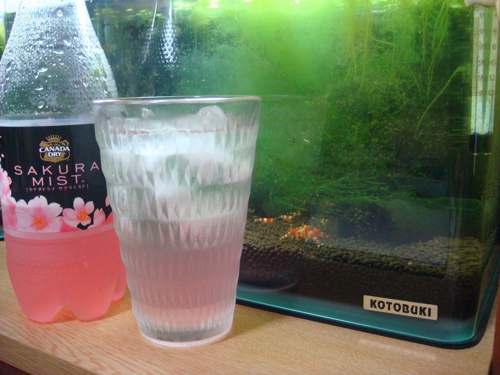 090415DSC01347.jpg