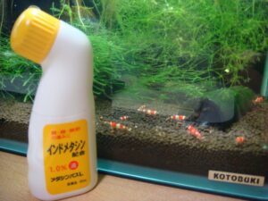 大変な一日