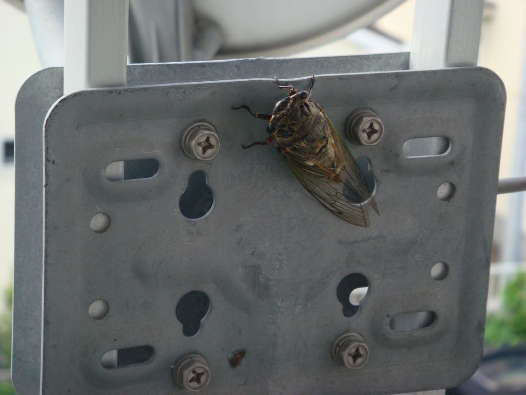 秋の風