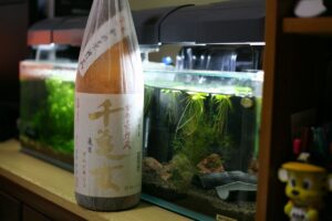 鹿児島のむぎ