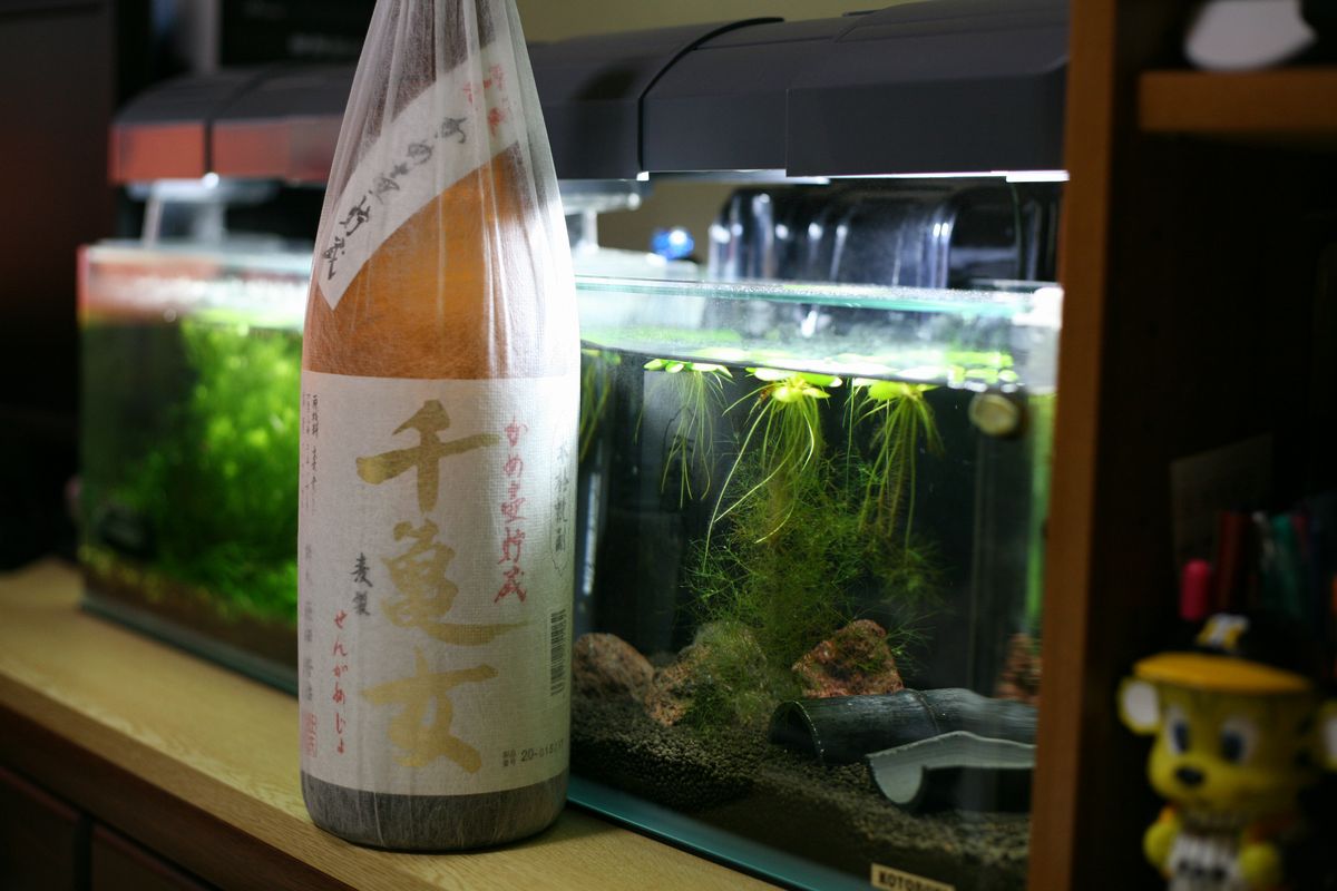 鹿児島のむぎ