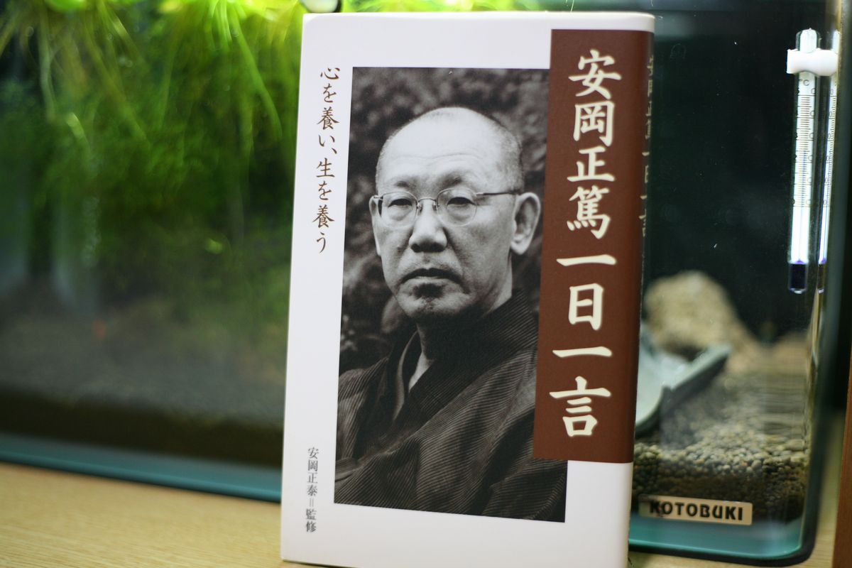 萬燈行