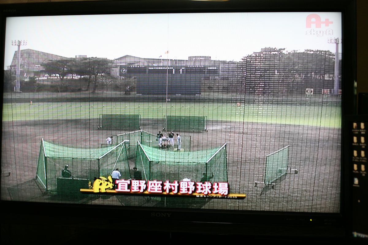 キャンプイン