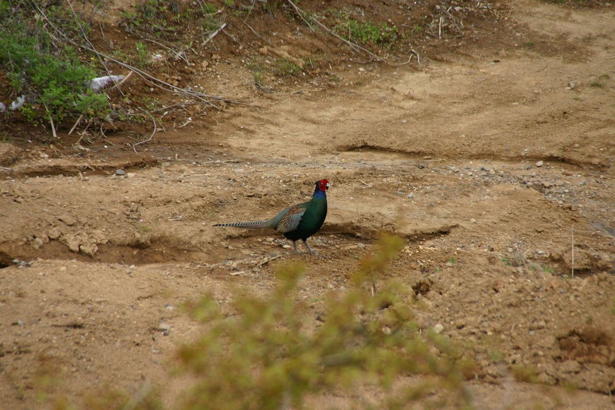 100430-IMG_0064.jpg