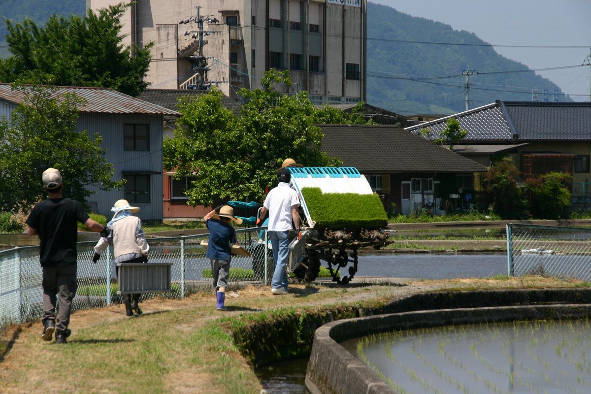 田植え終了