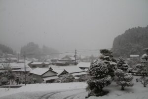 またもや…雪