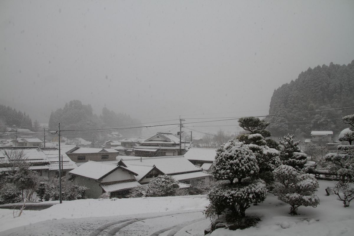 またもや…雪
