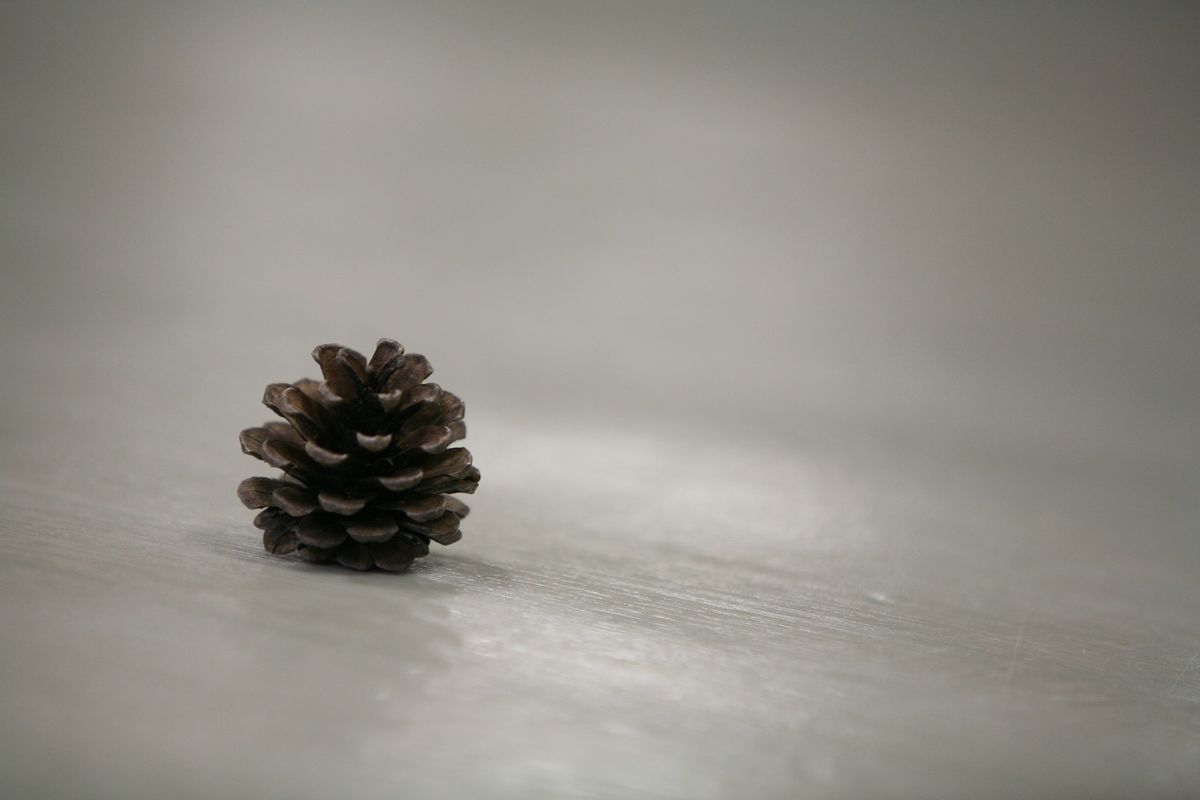 111029-IMG_2776.jpg