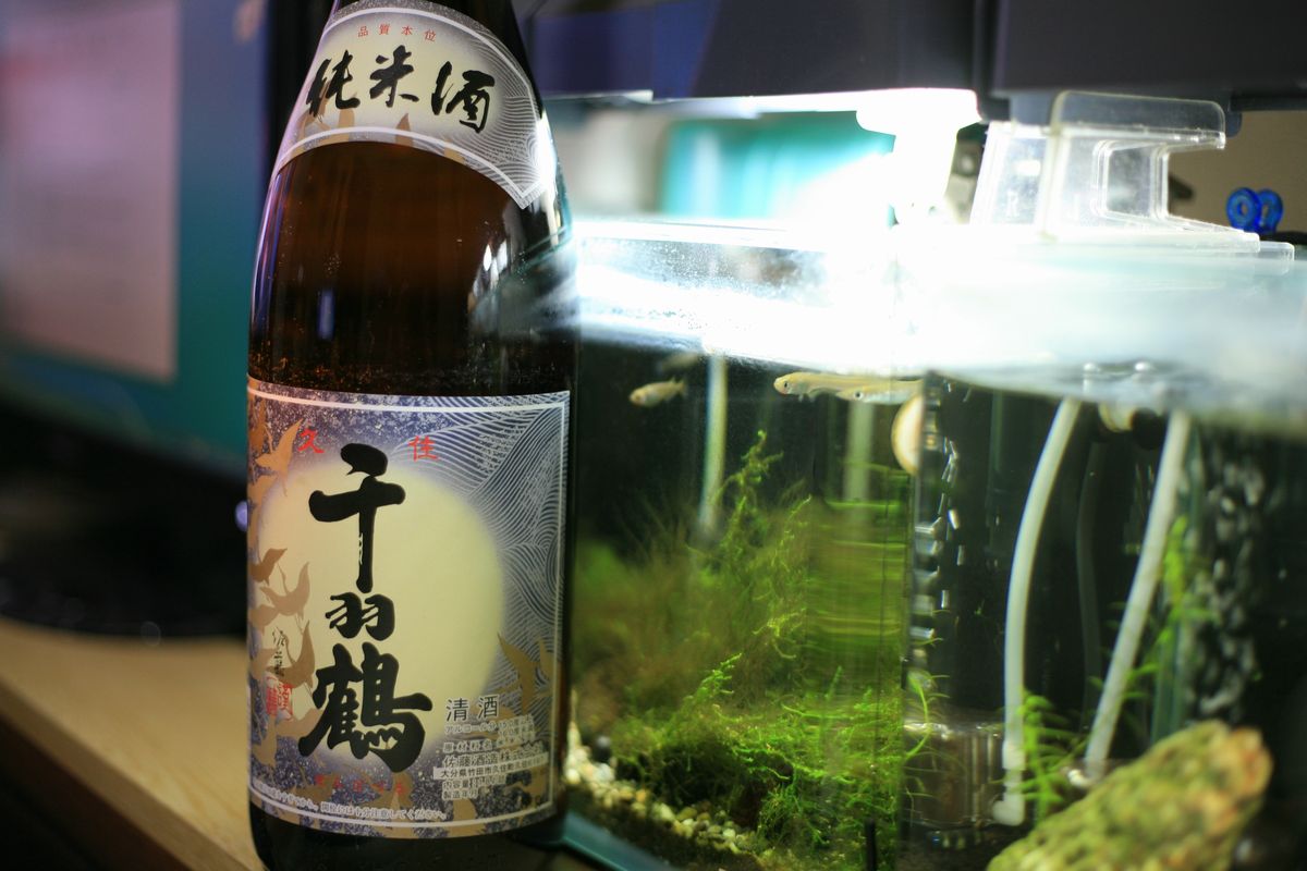 千羽鶴純米