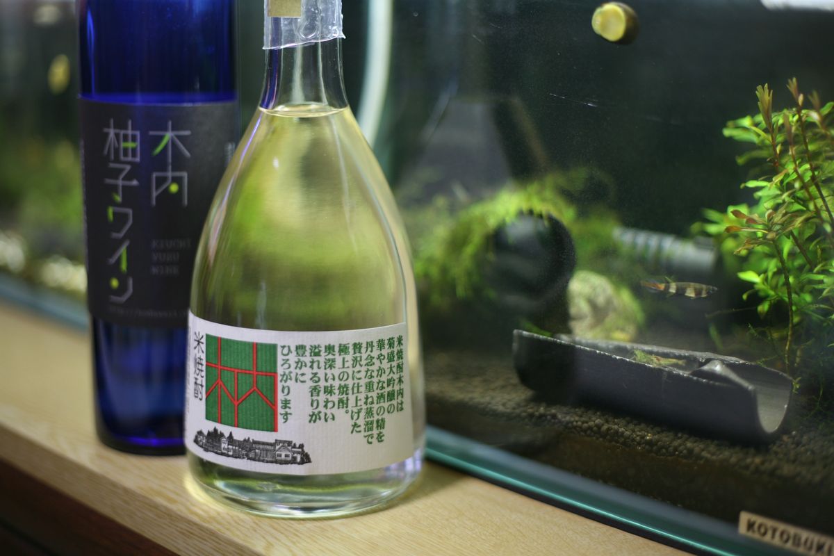 木内だらけ