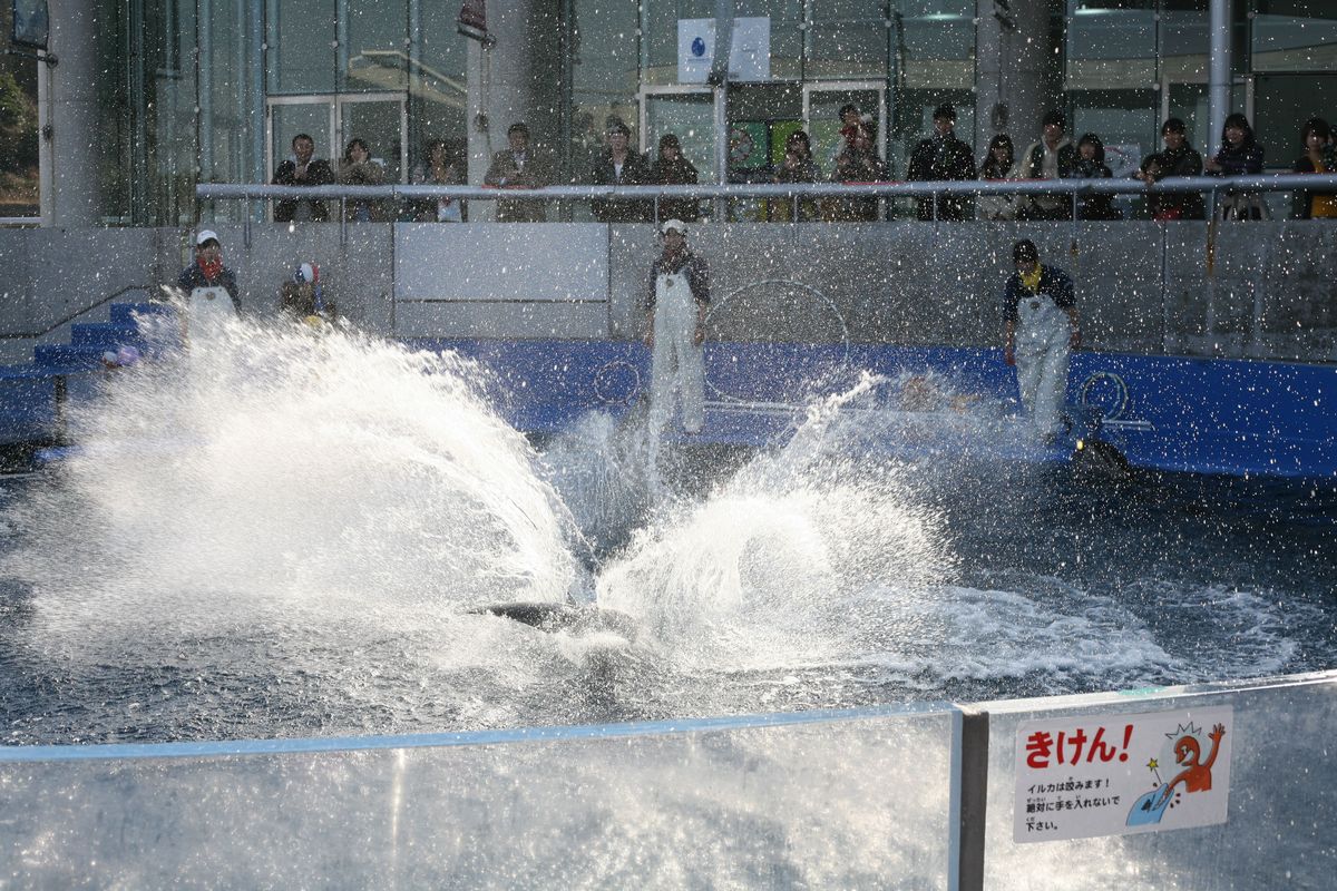 140131-IMG_4265.jpg