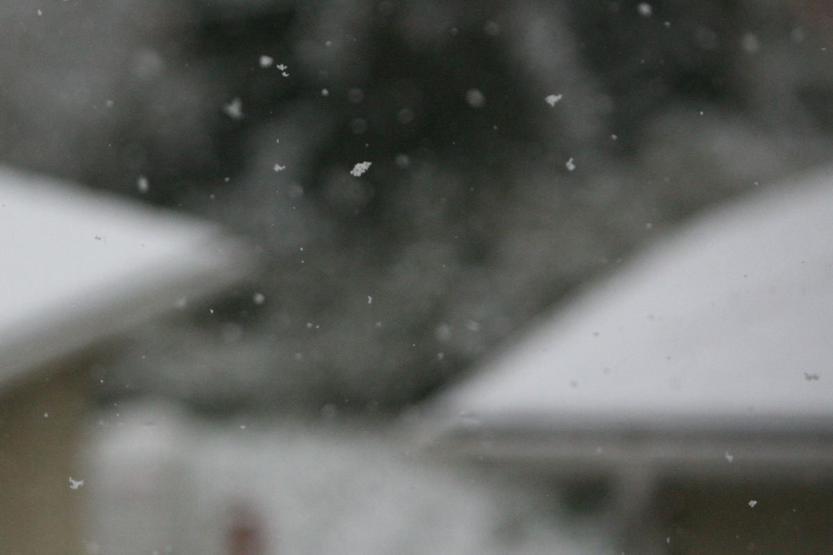 「記録的大雪」でした