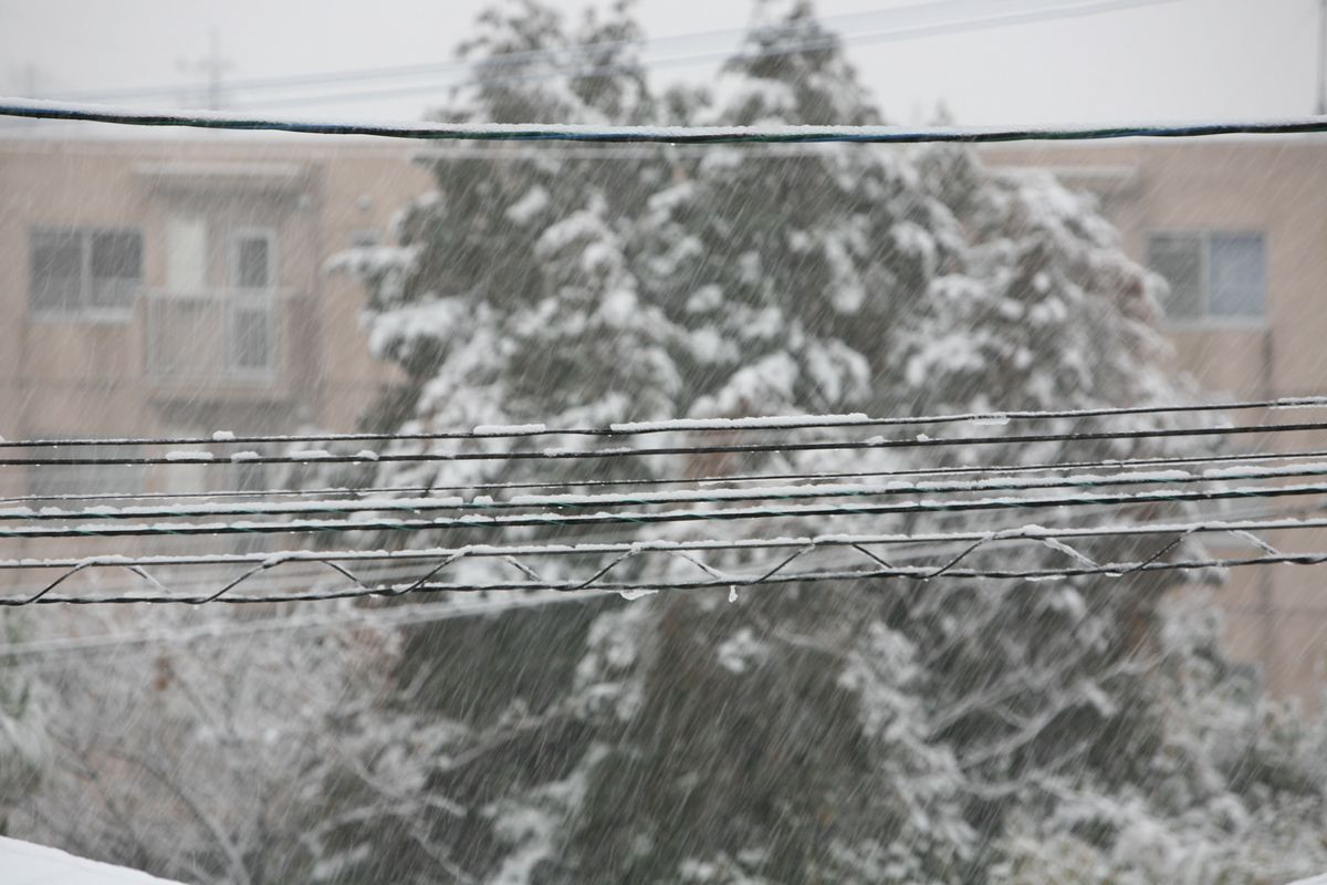 140215-IMG_4424.jpg