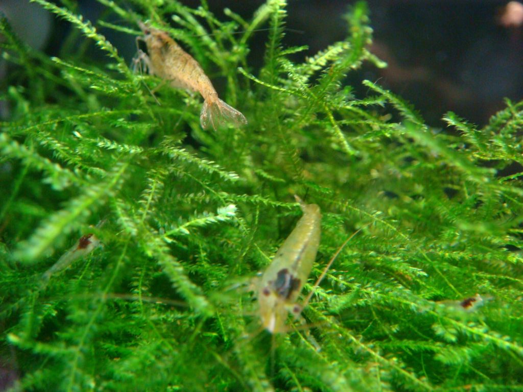 DSC00674.jpg