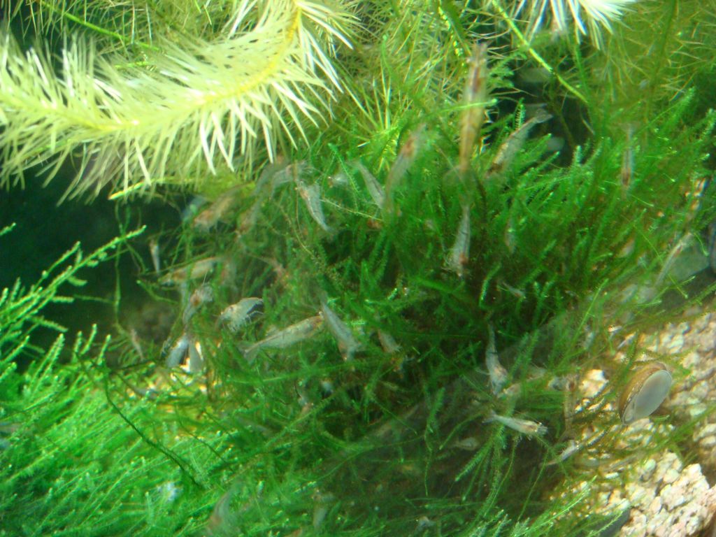 DSC00847.jpg
