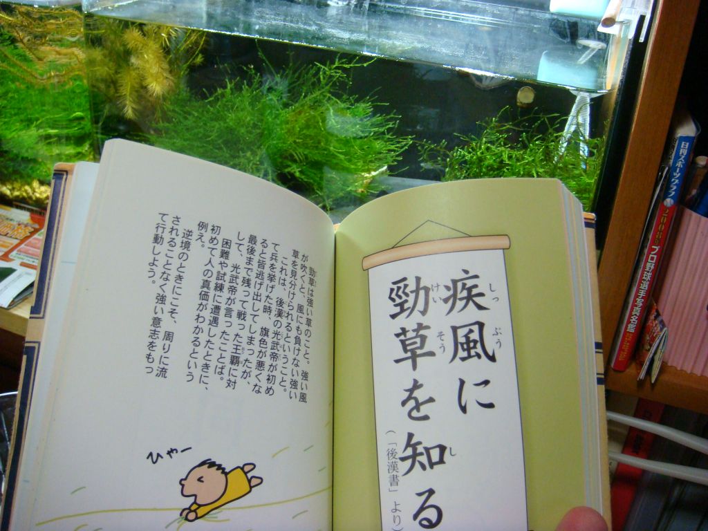 DSC00880.jpg