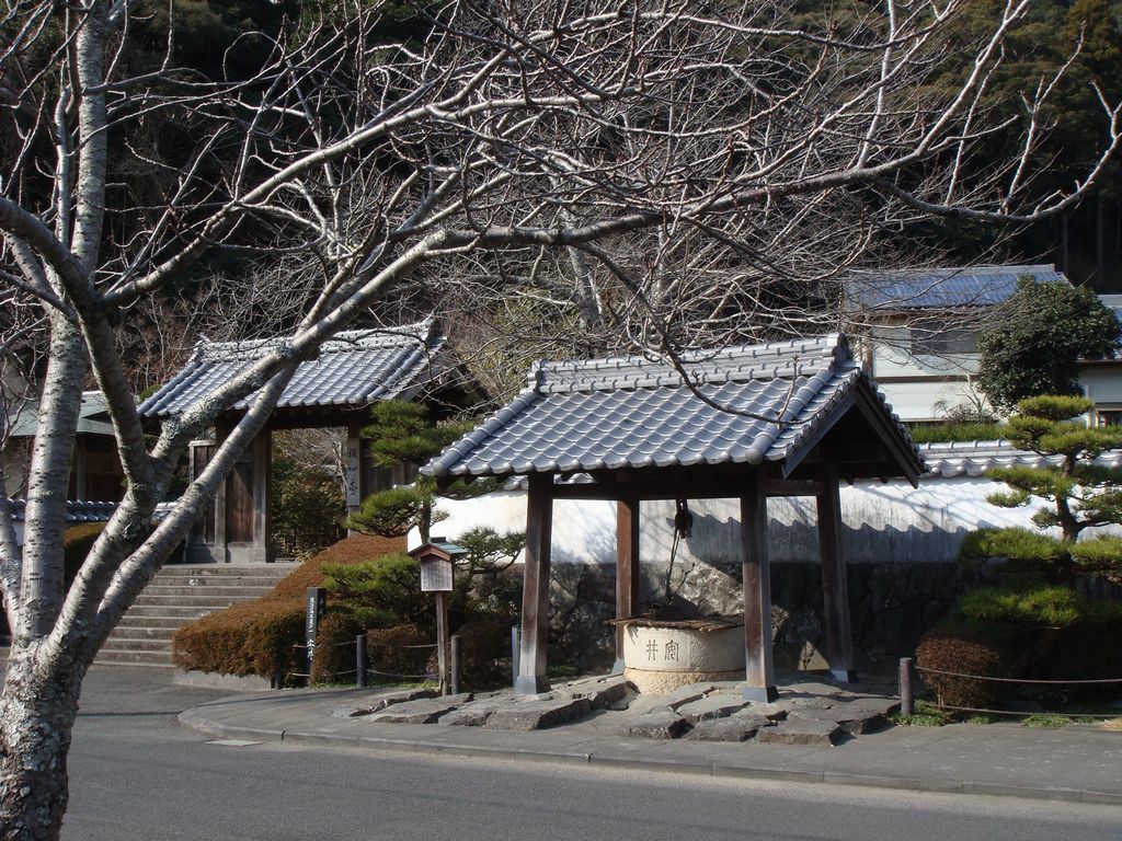 DSC03838.jpg
